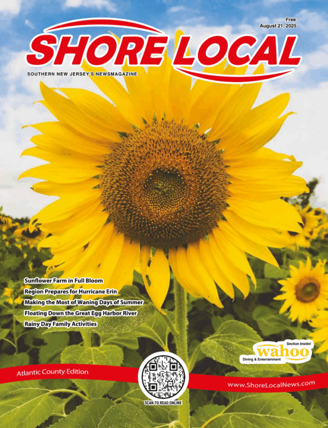Ocean City August cover